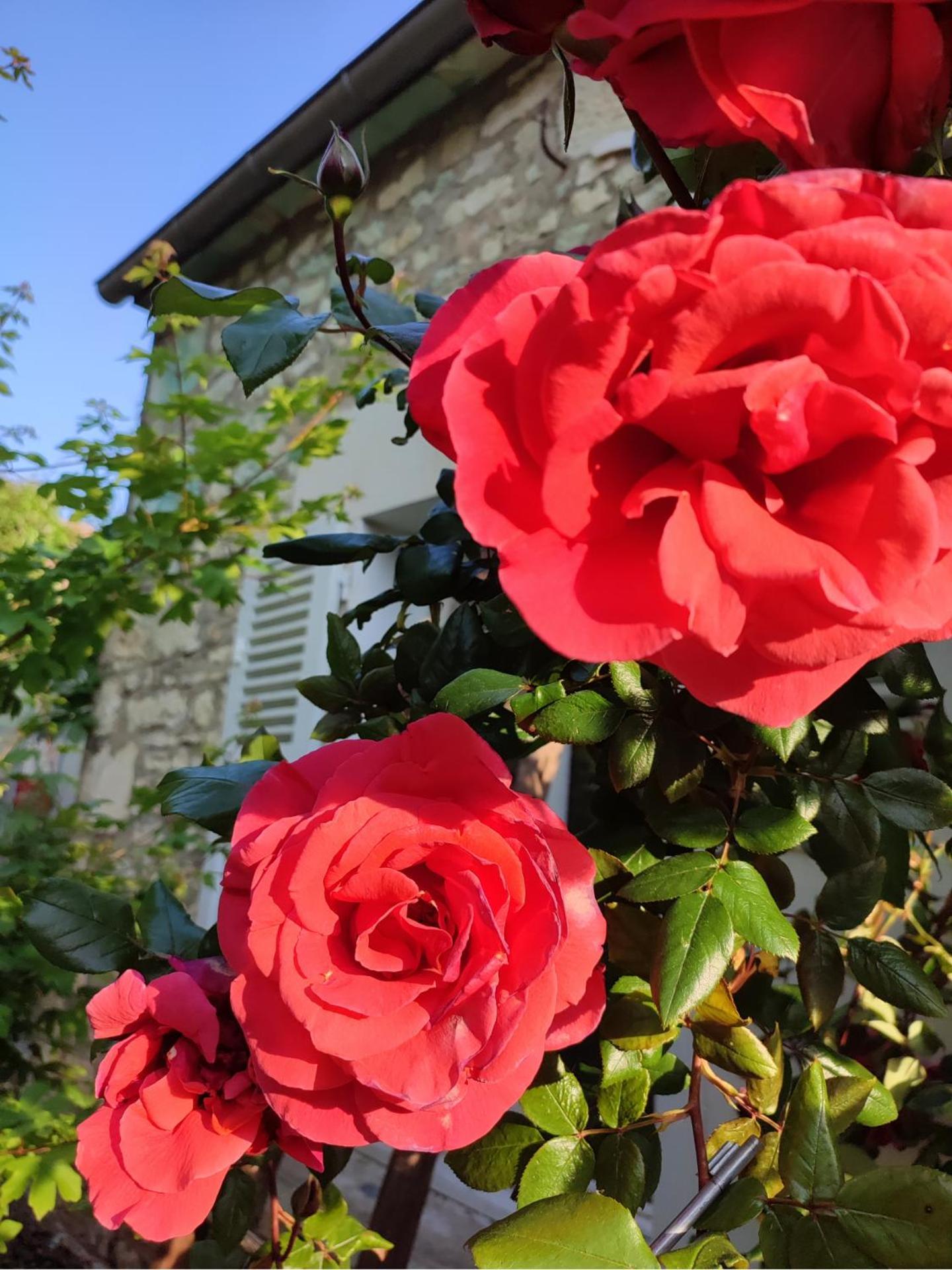 Gite En Plein Coeur Du Vignoble Chablisien Courgis Buitenkant foto